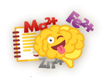 Icon brain